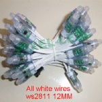 All white wires ws2811 RGB Pixels string